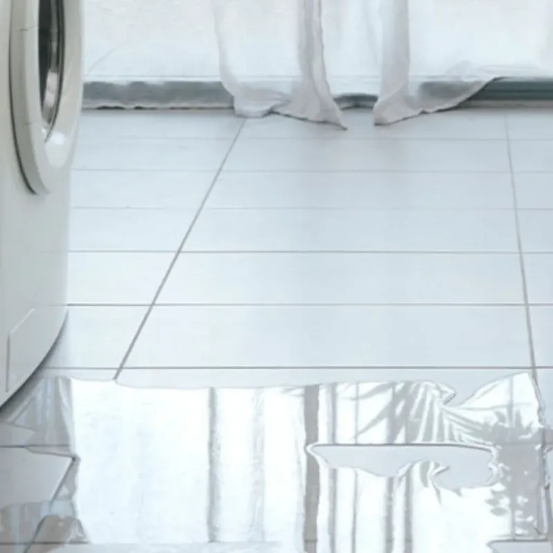 Appliance Leak Cleanup in Red Springs, NC