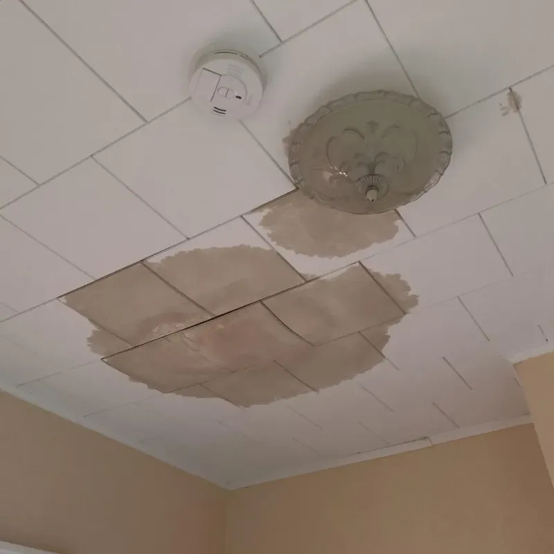 Ceiling Water Damage Repair in Red Springs, NC