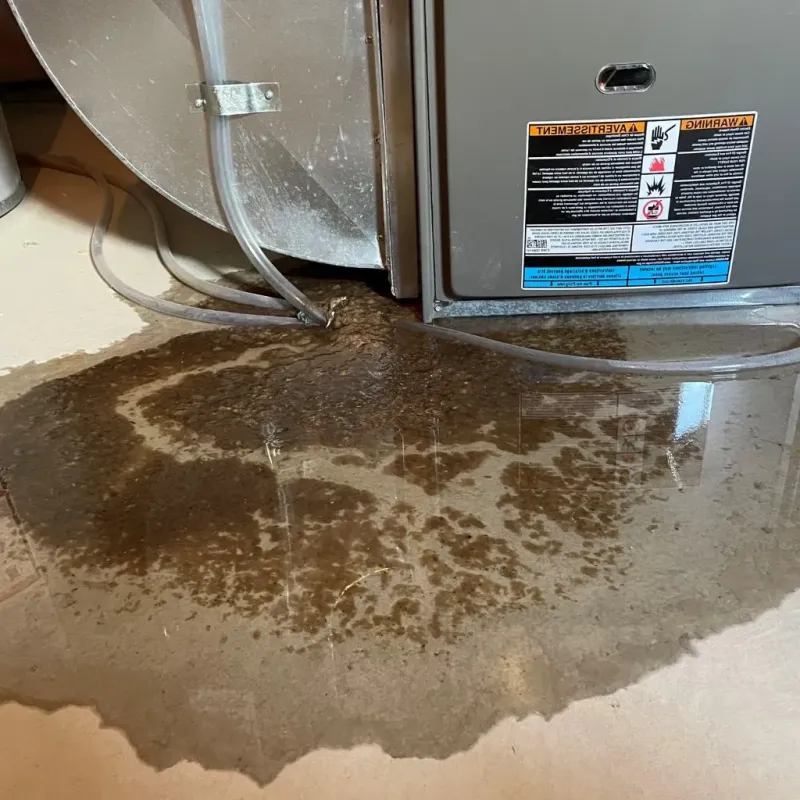 Pipe Burst and Leak Restoration in Red Springs, NC