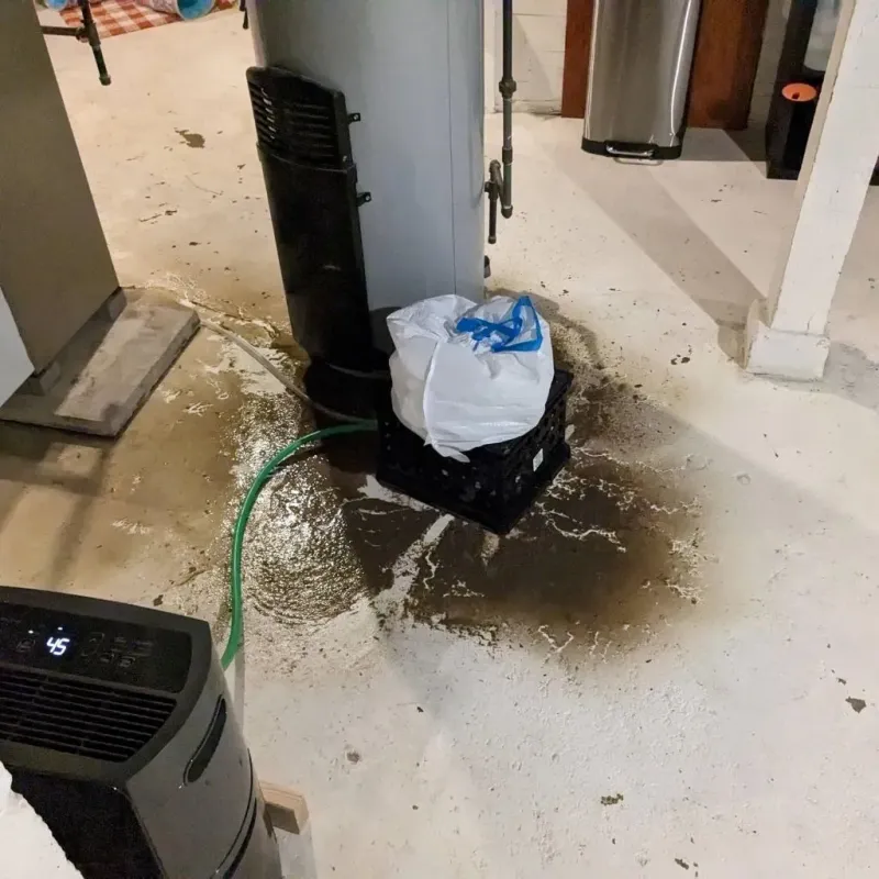 Sewage Backup Cleanup Service in Red Springs, NC